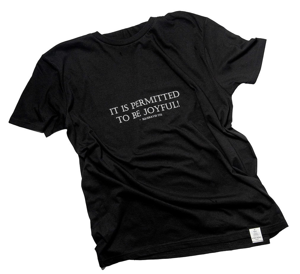 Ladies Joyful tee-shirt
